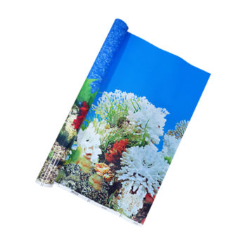 Gambar Aquarium 60cm