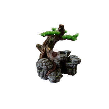 Tebing Kura Bonsai