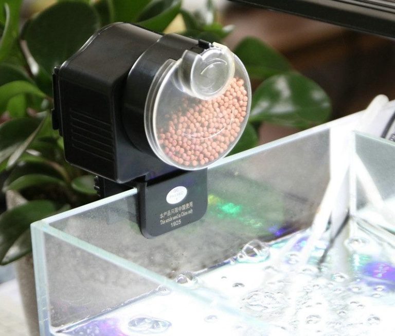 FOOD TIMER AQUARIUM