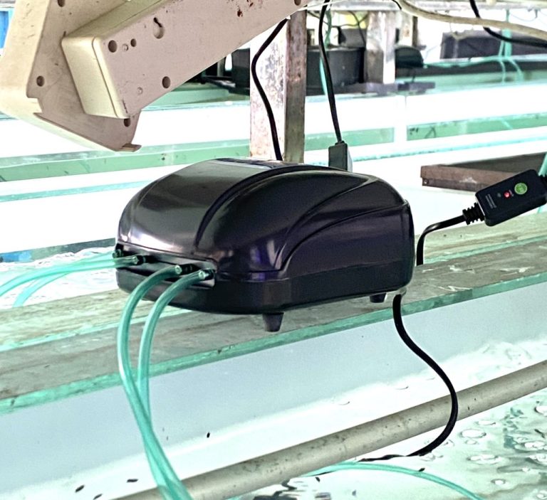 aerator tidak keluar gelembung