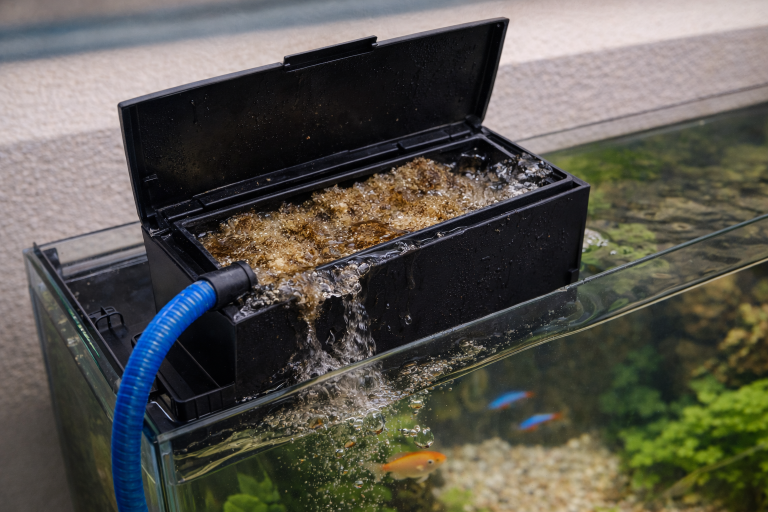 filter aquarium mampet