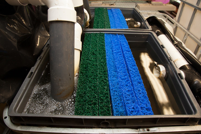 filter aquarium mampet