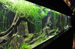 aerator aquarium berisik