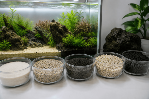 memilih pasir aquarium