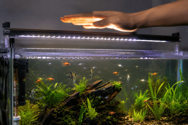 LAMPU AQUARIUM CEPAT PANAS