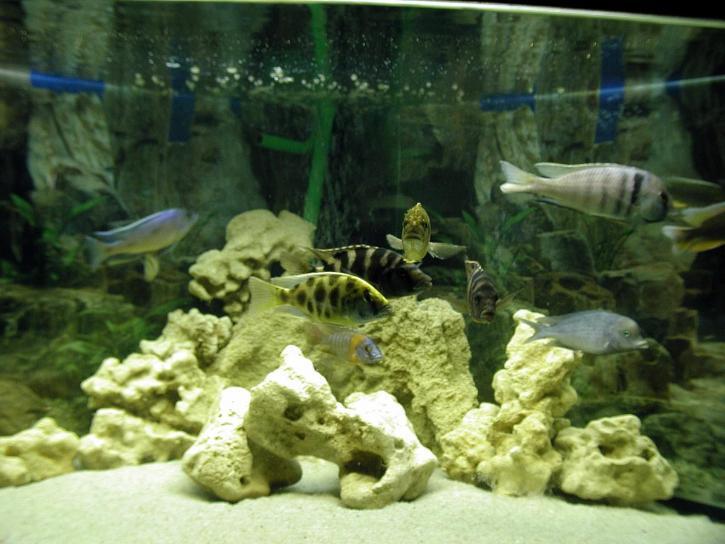 air aquarium bau kaporit